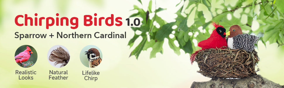 Chirping Birds 2 Pcs with Catnip SilverVine