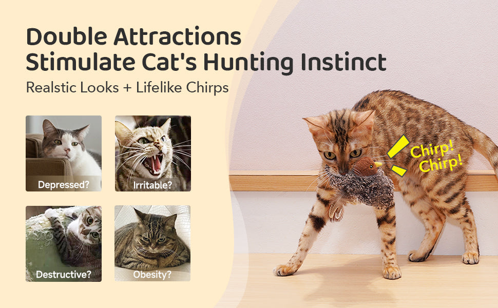 Chirping Birds 2 Pcs with Catnip SilverVine